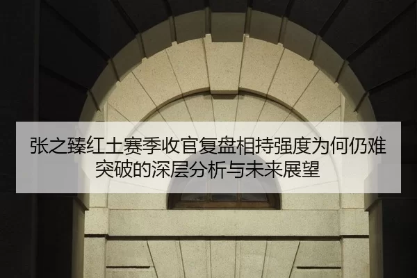 张之臻红土赛季收官复盘相持强度为何仍难突破的深层分析与未来展望
