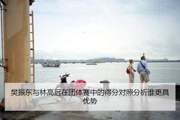 樊振东与林高远在团体赛中的得分对照分析谁更具优势