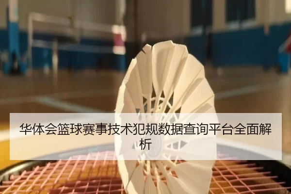 华体会篮球赛事技术犯规数据查询平台全面解析
