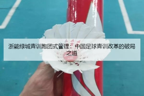 浙能绿城青训跑团式管理：中国足球青训改革的破局之道