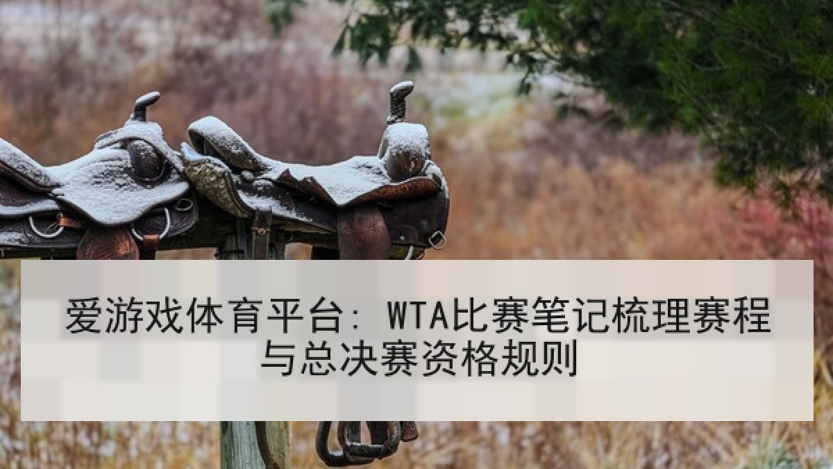 爱游戏体育平台: WTA比赛笔记梳理赛程与总决赛资格规则