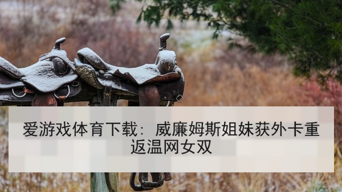爱游戏体育下载: 威廉姆斯姐妹获外卡重返温网女双