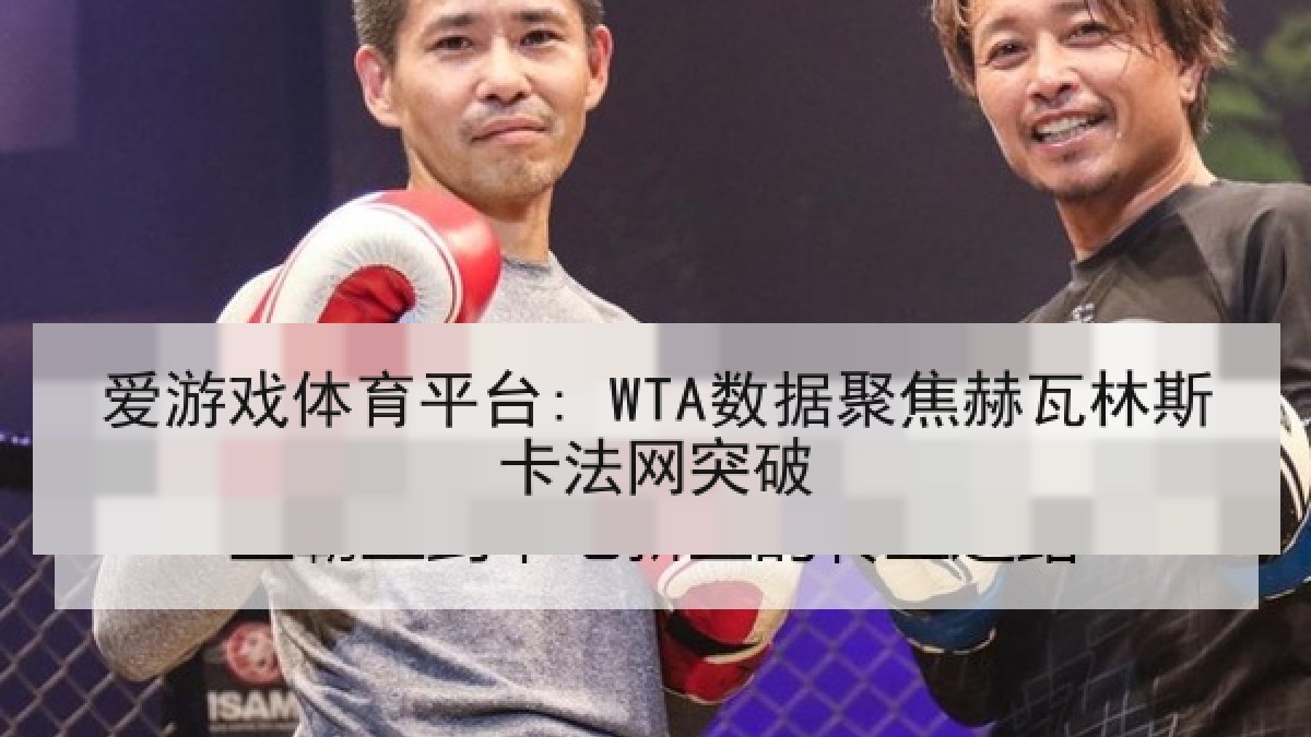 爱游戏体育平台: WTA数据聚焦赫瓦林斯卡法网突破