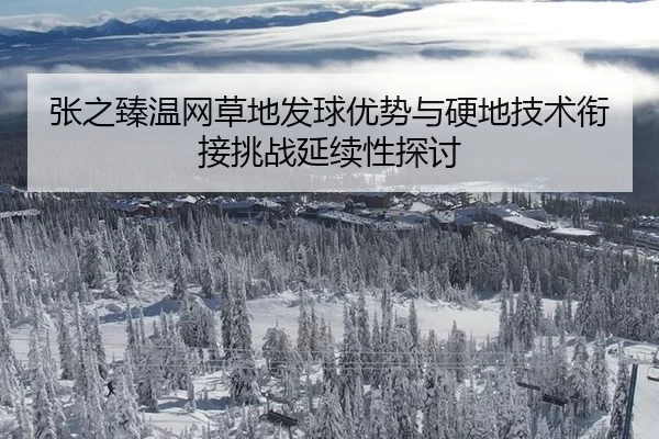 zhang-zhi-zhen-wen-wang-cao-di-fa-qiu-you-shi-yu-ying-di-ji-shu-xian-jie-tiao-zhan-yan-xu-xing-tan-tao-2-423.jpg