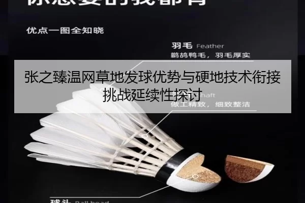 zhang-zhi-zhen-wen-wang-cao-di-fa-qiu-you-shi-yu-ying-di-ji-shu-xian-jie-tiao-zhan-yan-xu-xing-tan-tao-3-401.jpg