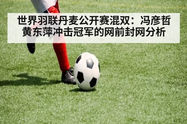 世界羽联丹麦公开赛混双：冯彦哲黄东萍冲击冠军的网前封网分析